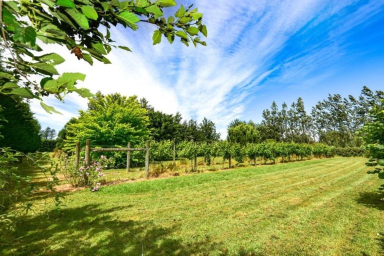 Photo of property in 17 Bridge Road, Greendale, Christchurch, 7671