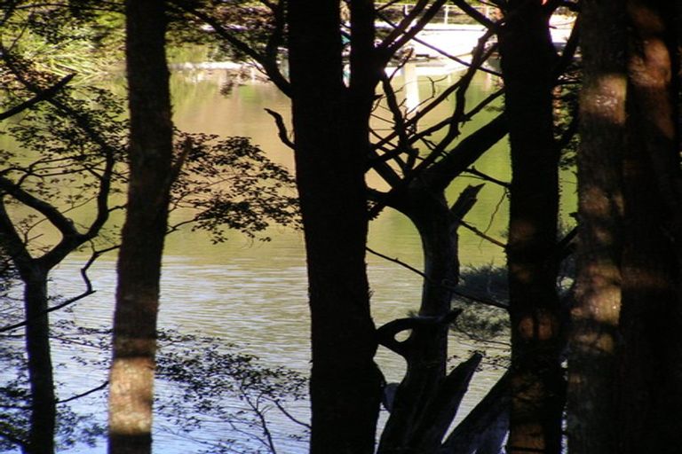 Photo of property in 19 James Kemp Place, Kerikeri, 0230