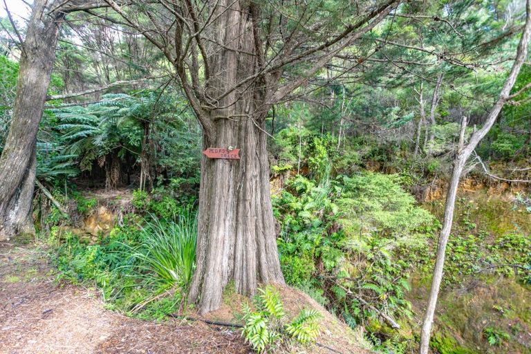 Photo of property in 7 Otuturu Creek Road, Ruamahunga, Thames, 3575