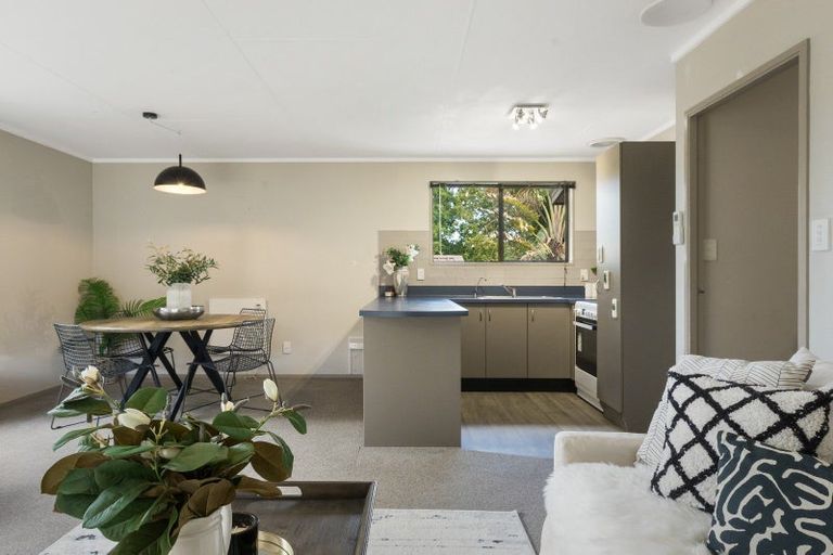 Photo of property in 3 Gilfillan Drive, Katikati, 3129