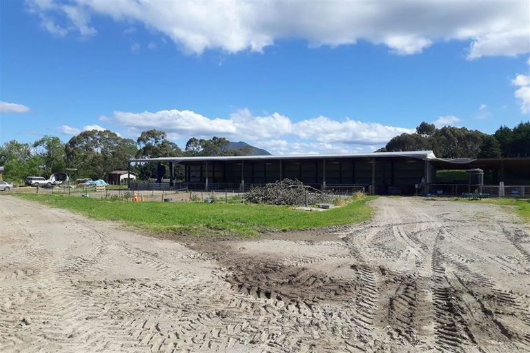 Photo of property in 131e Hogg Road, Rotoma, Whakatane, 3192