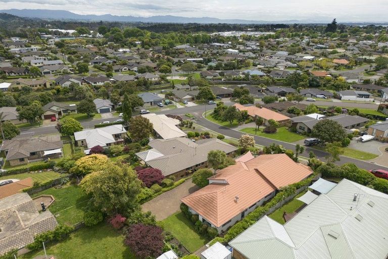 Photo of property in 10 Rochester Place, Bethlehem, Tauranga, 3110