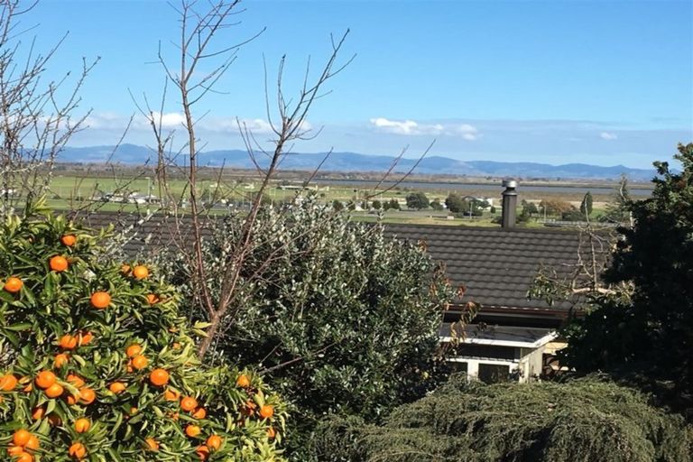 Photo of property in 115 Brunton Crescent, Thames, 3500