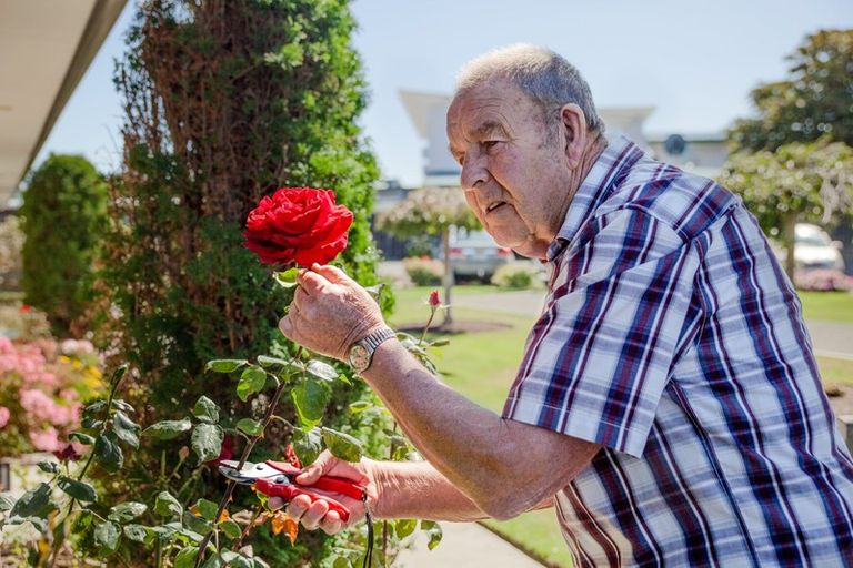 Photo of property in 53 Waikawa Bay, Picton, 7220