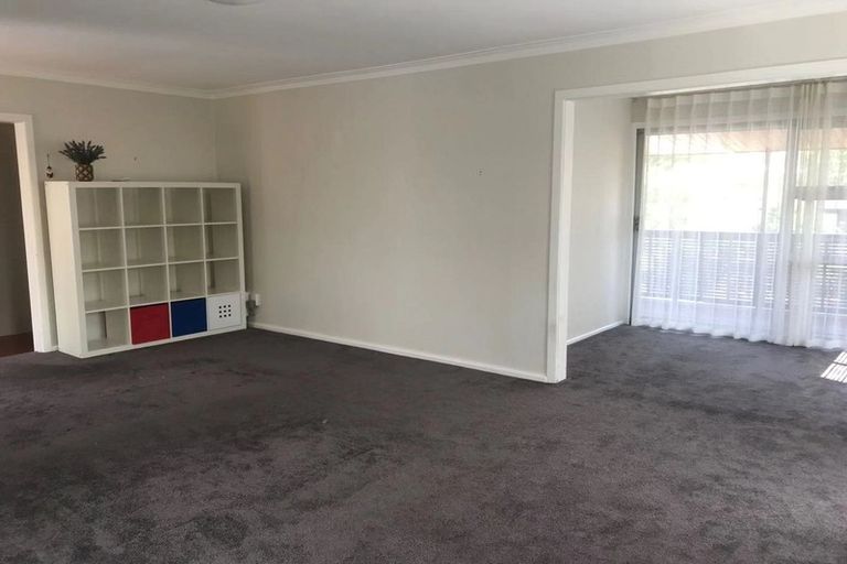 Photo of property in 17 Trafalgar Road, Milford, Auckland, 0620