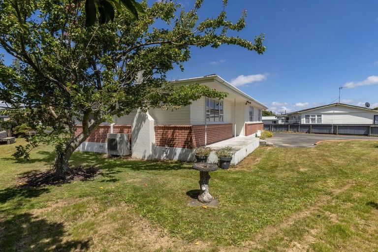Photo of property in 10 Hobson Street, Levin, 5510
