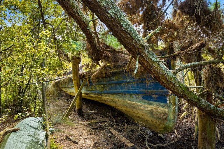 Photo of property in 192 Colwill Road, Massey, Auckland, 0614