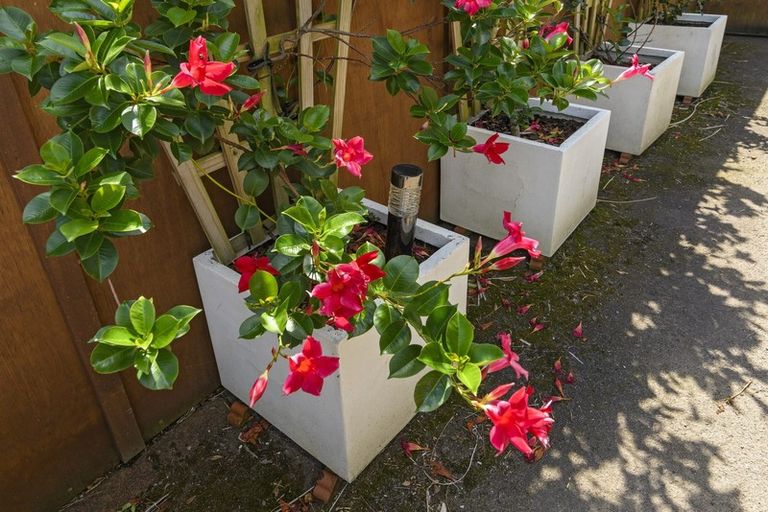 Photo of property in 9 Glencarron Place, Bethlehem, Tauranga, 3110