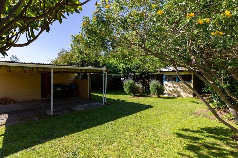 Photo of property in 113 Brook Street, The Brook, Nelson, 7010