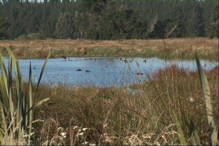 Photo of property in 12 The Esplanade, Pegasus, 7612