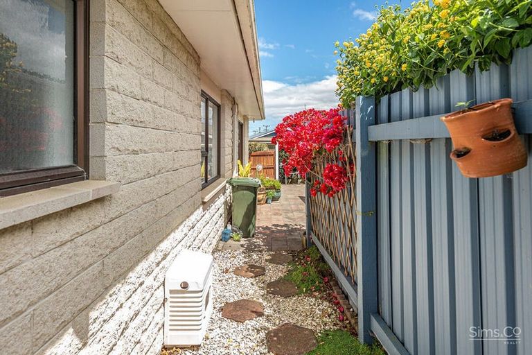Photo of property in 19b Fergusson Street, Springvale, Whanganui, 4501