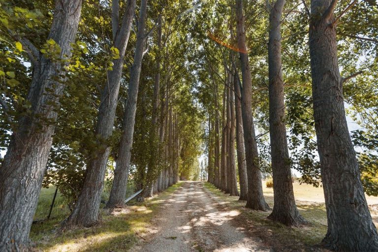 Photo of property in 479 Manuherikia Road, Springvale, Alexandra, 9393