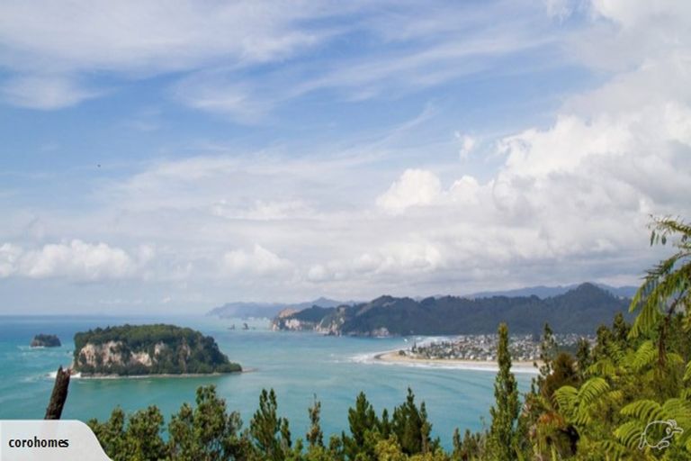 Photo of property in 113 Te Tutu Street, Whangamata, 3691