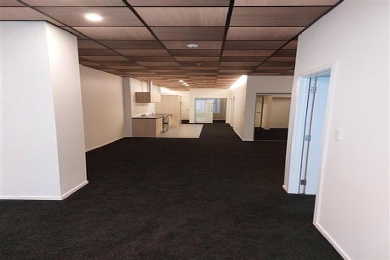 Photo of property in Te Kainga, 195 Willis Street, Te Aro, Wellington, 6011