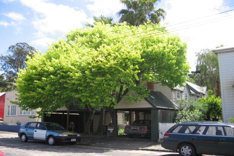 Photo of property in 1/22 Claremont Street, Grafton, Auckland, 1023