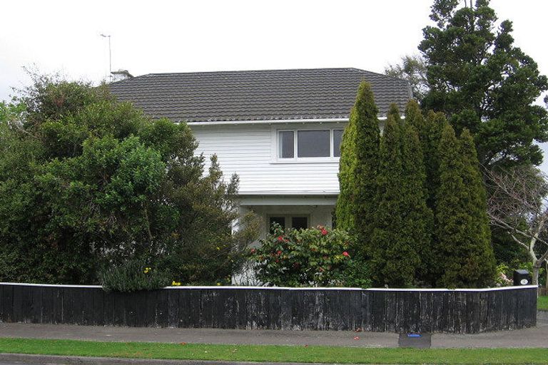 Photo of property in 52 Dahlia Street, Palmerston North, 4410