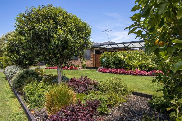 Photo of property in 2 Bransley Grove, Katikati, 3129