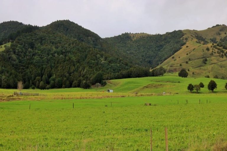 Photo of property in 1008 Tangowahine Valley Road, Tangowahine, Dargaville, 0372