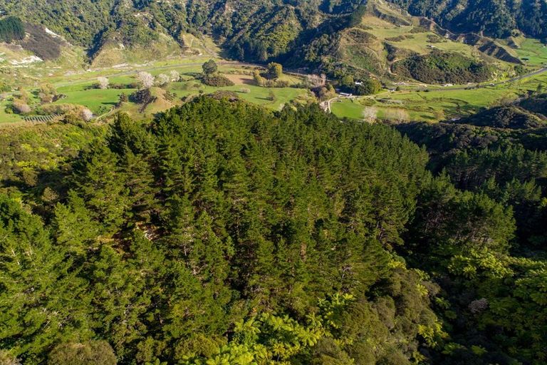 Photo of property in 1177 Mokau Road, Mimi, Urenui, 4379