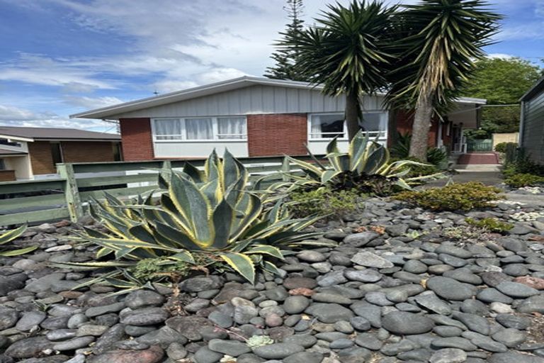 Photo of property in 22 The Drive, Brookfield, Tauranga, 3110