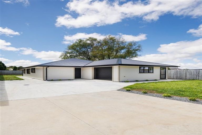 Photo of property in 166b Bridge Street, Bulls, 4818