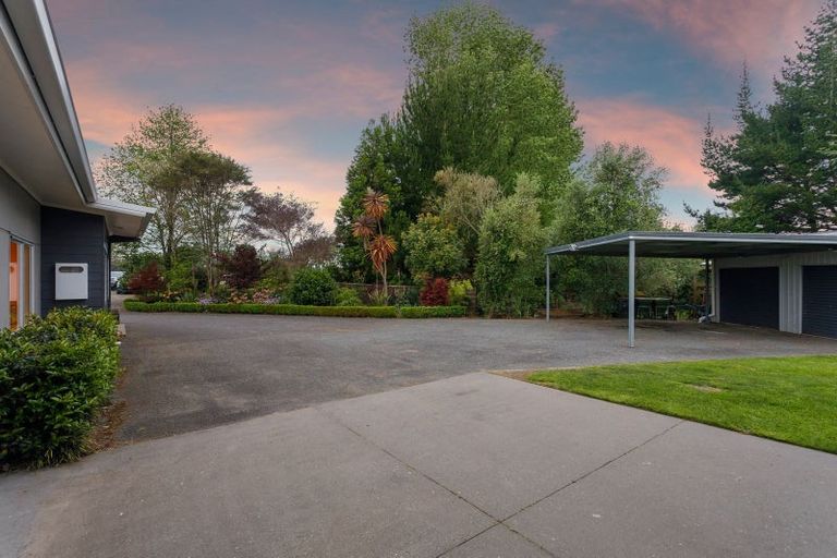 Photo of property in 133 Hogg Road, Rotoma, Whakatane, 3192