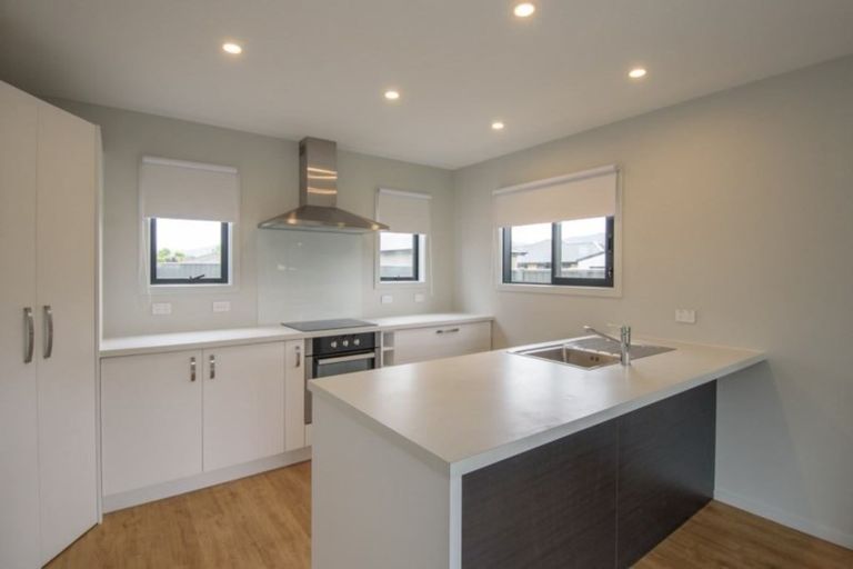 Photo of property in 109a Inniscort Street, Cromwell, 9310