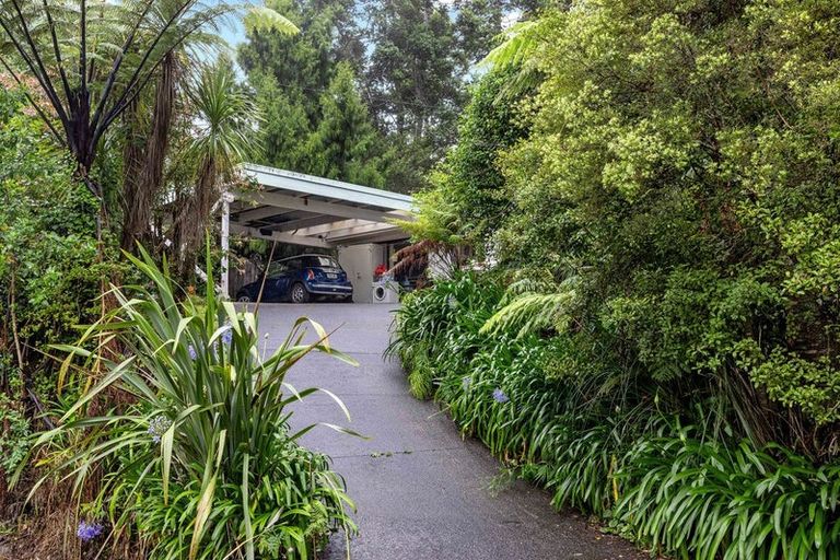 Photo of property in 19 Tainui Road, Titirangi, Auckland, 0604
