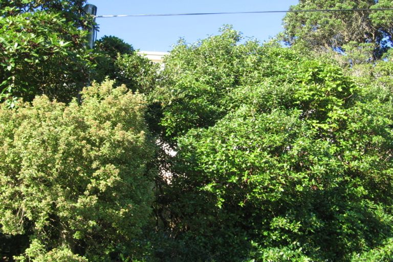 Photo of property in 51 Madras Street, Khandallah, Wellington, 6035