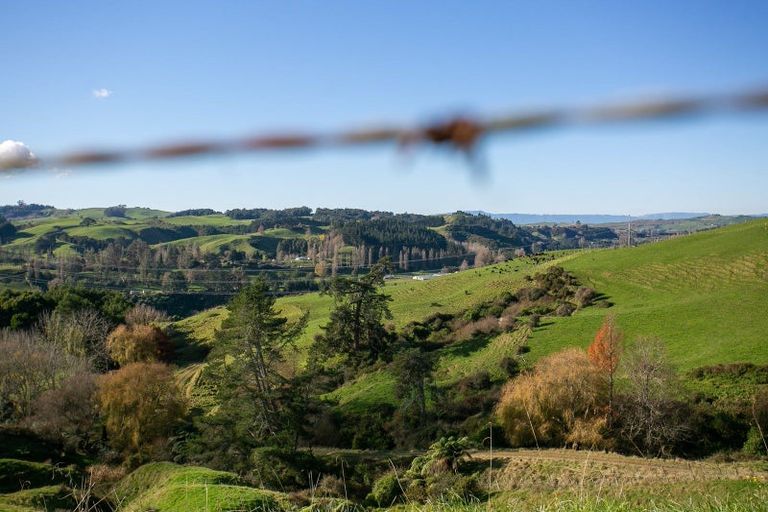 Photo of property in 260 Stokes Road, Maungatautari, Cambridge, 3494