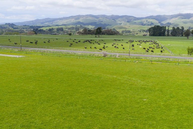 Photo of property in 643b Pohangina Road, Ashhurst, 4884