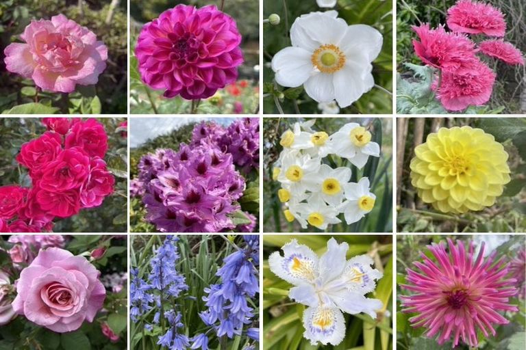 Photo of property in 23 Haile Lane, Pohara, Takaka, 7183