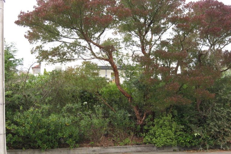 Photo of property in 2 Byron Street, Mornington, Dunedin, 9011