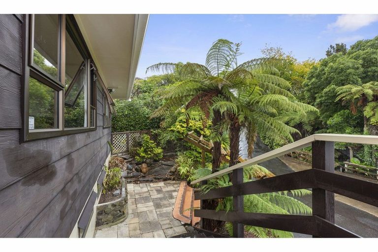 Photo of property in 54 Newcastle Road, Dinsdale, Hamilton, 3204