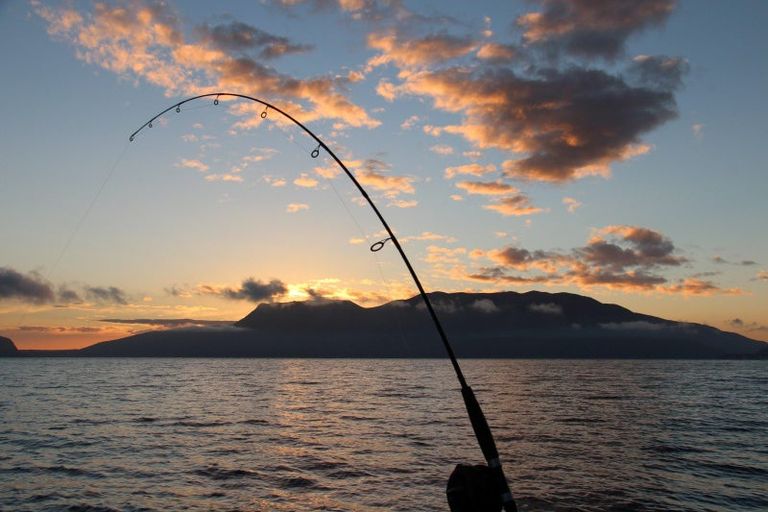 Photo of property in 483 Spencer Road, Lake Tarawera, Rotorua, 3076