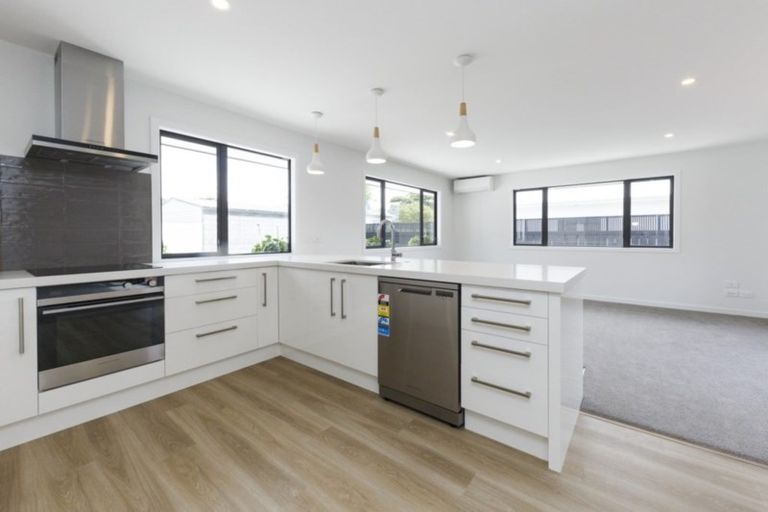 Photo of property in 93a Marne Street, Hokowhitu, Palmerston North, 4410