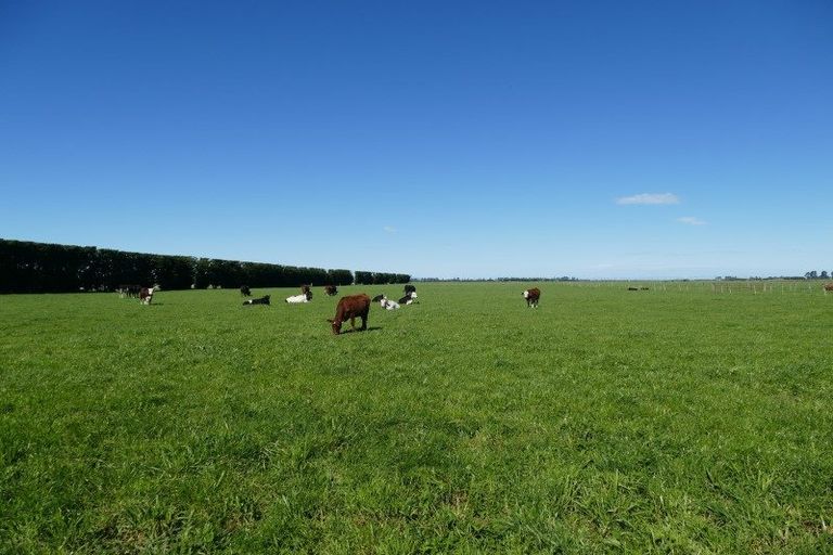 Photo of property in 149 Karanga Road, Dunsandel, Leeston, 7682