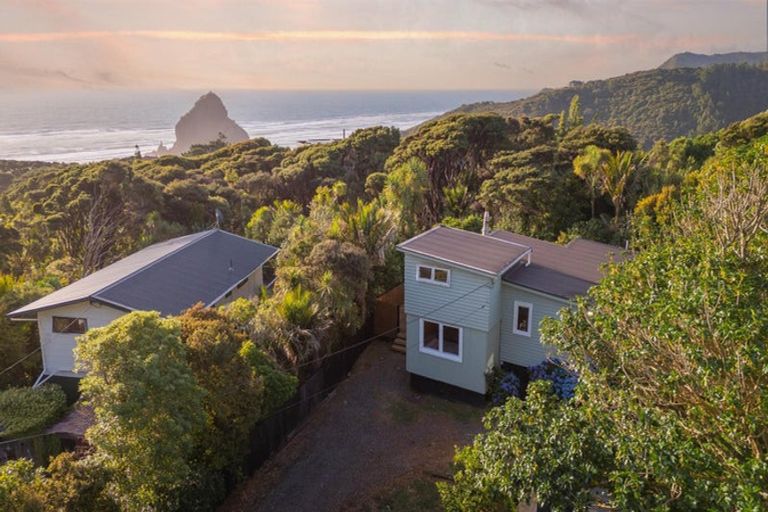 Photo of property in 132 Seaview Road, Piha, New Lynn, 0772