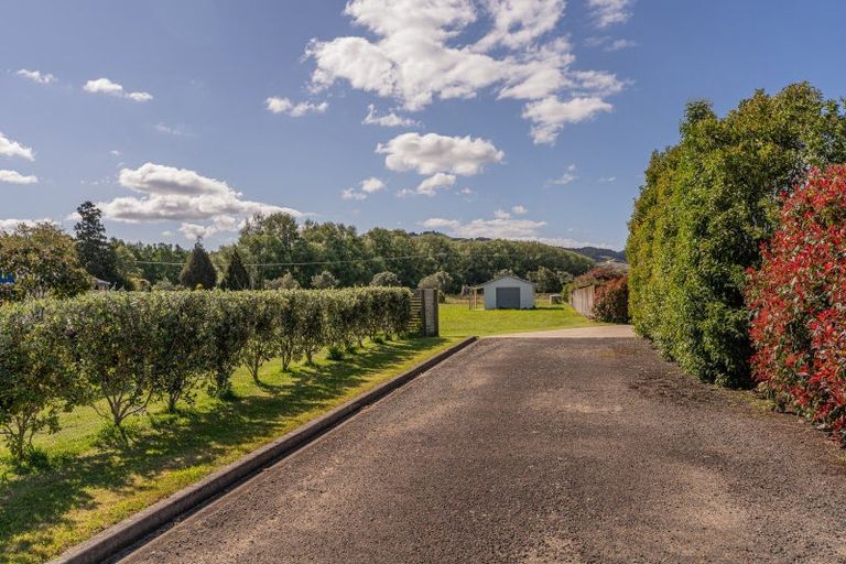 Photo of property in 12 Austin Drive, Whitianga, 3510