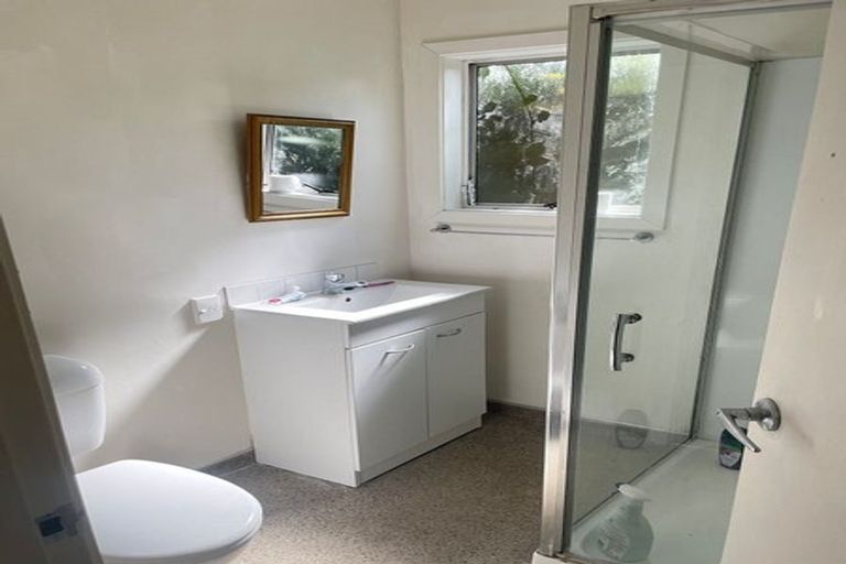 Photo of property in 145 Aro Street, Aro Valley, Wellington, 6021