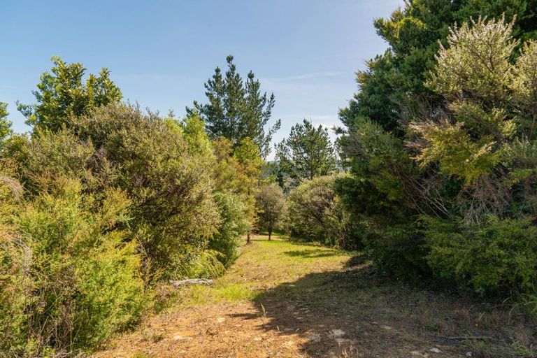 Photo of property in 57 Tarapatiki Drive, Whitianga, 3510