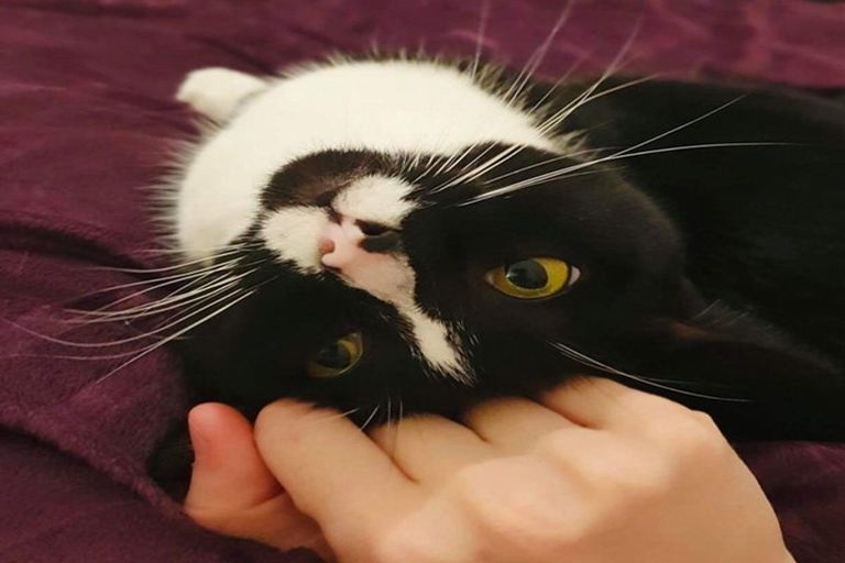 Photo of property in 56 Hathaway Avenue, Karori, Wellington, 6012