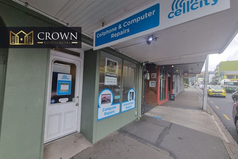 Photo of property in 107 Vivian Street, Te Aro, Wellington, 6011