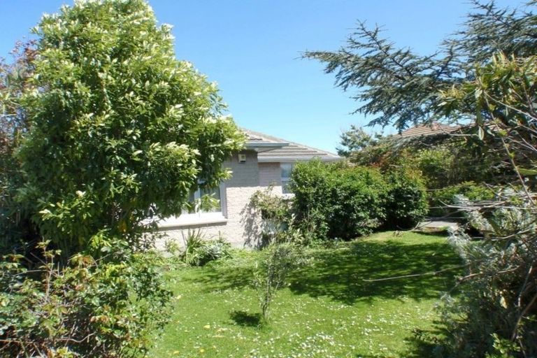 Photo of property in 294 Opawa Road, Hillsborough, Christchurch, 8022