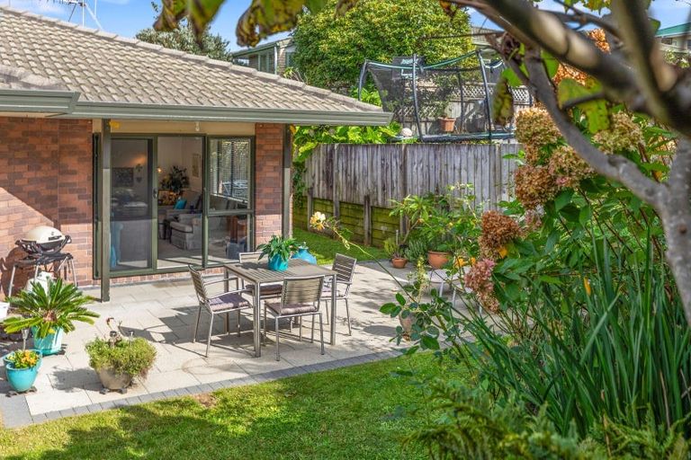Photo of property in 19 Tuthill Street, Gate Pa, Tauranga, 3112