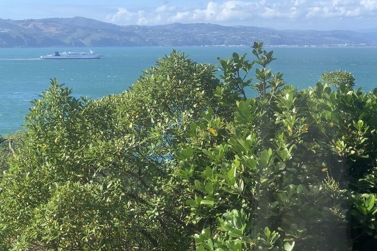 Photo of property in 147a Grafton Road, Roseneath, Wellington, 6011