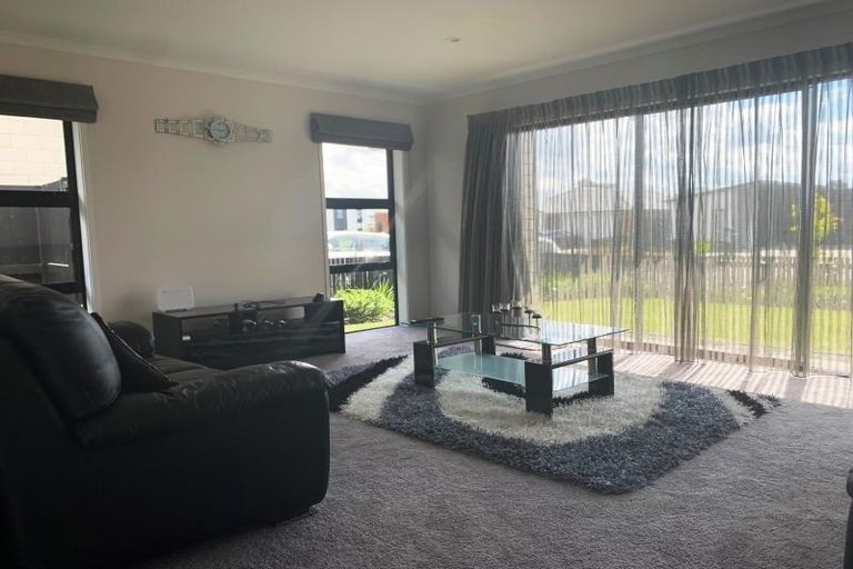 Photo of property in 41 Lulu Avenue, Chartwell, Hamilton, 3210