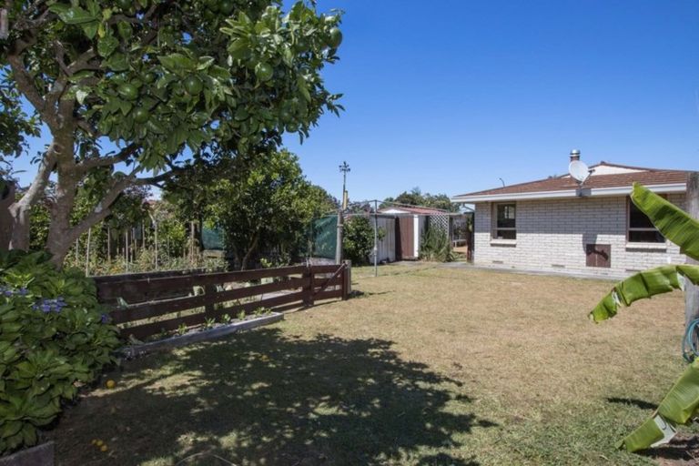 Photo of property in 15 Alexander Street, Katikati, 3129