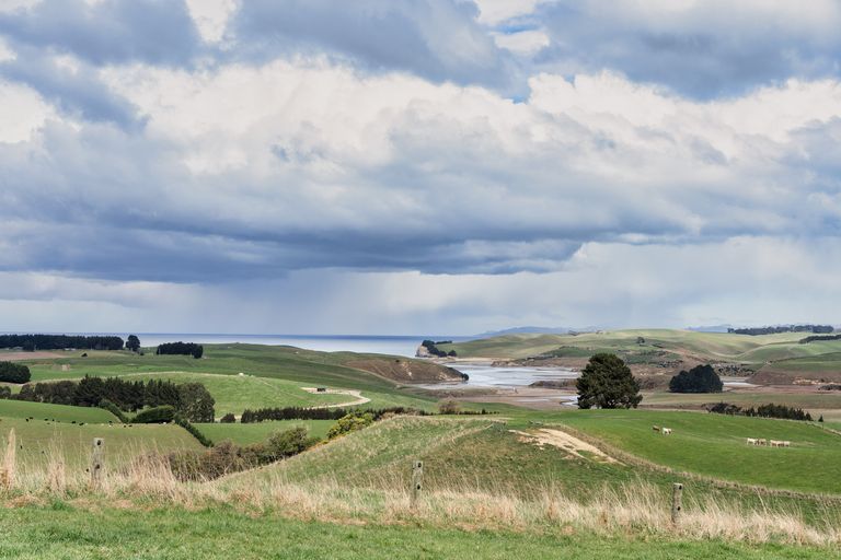 Photo of property in 131 Ireland Road, Goodwood, Palmerston, 9481