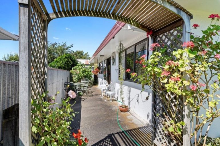 Photo of property in 98a Winchester Street, Levin, 5510